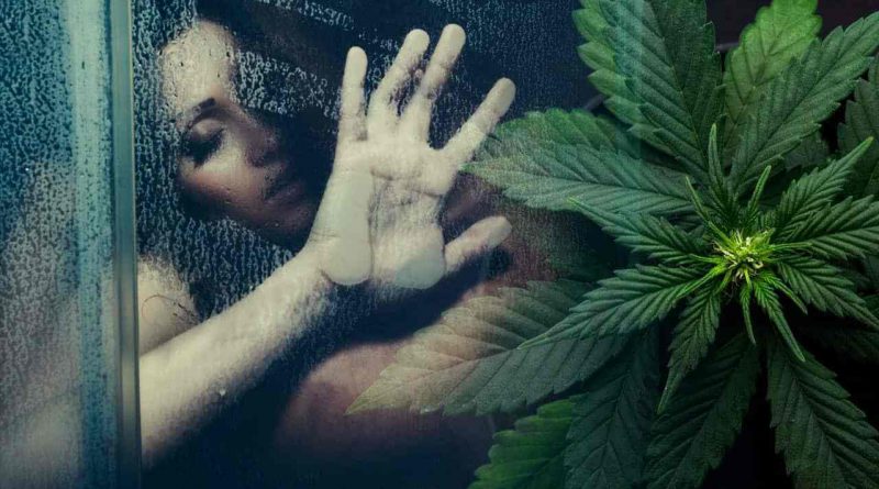 Marihuana Poprawia Doznania Seksualne, wwwkoneser
